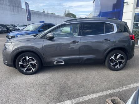 CITROEN C5 Aircross BlueHDi 130ch S&S Business + E6.d-TEMP à vendre à Besançon - Image n°8