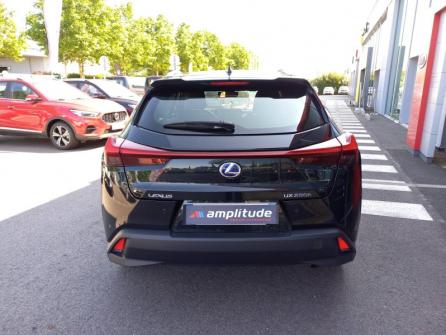 LEXUS UX 250h 2WD Pack Business MY20 à vendre à Melun - Image n°6