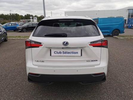 LEXUS NX 300h 4WD Luxe à vendre à Montargis - Image n°6