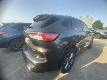FORD Kuga 2.5 Duratec 190 ch FHEV ST-Line X BVA à vendre à Troyes - Image n°5