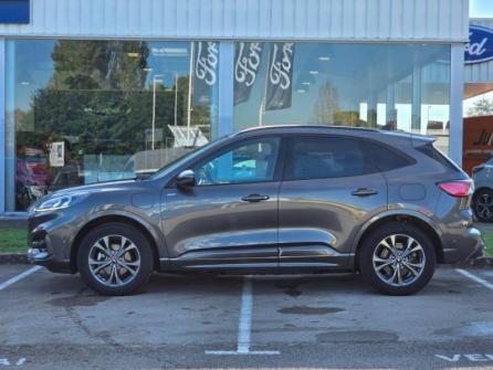 FORD Kuga 2.5 Duratec 225ch PHEV ST-Line BVA à vendre à Saint-Claude - Image n°8